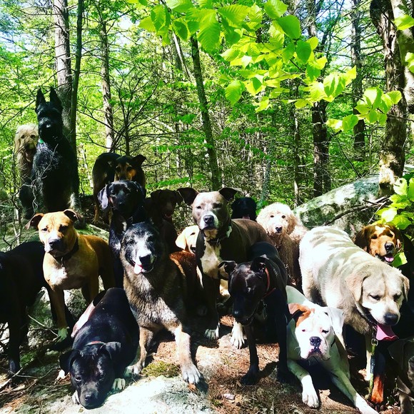 Meet your Posher, Scott - Picture 1 of 1